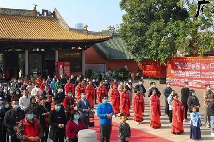 二婚属羊和属猪的适合做夫妻吗 属羊属猪的婚姻好不好