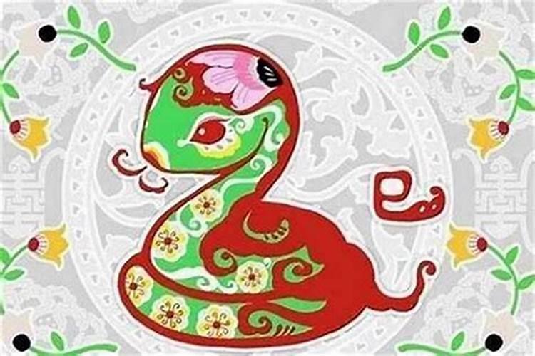 73岁蛇今年有灾难吗