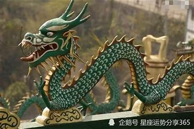 辛金的喜忌与偏好