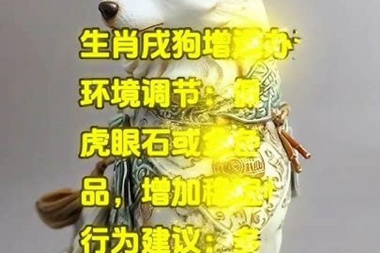 2025年犯太岁的四个属相,2025年犯太岁最厉害的生肖