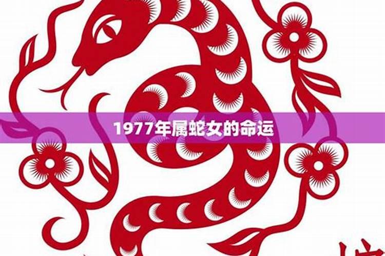 77年属蛇2025年运势及运程