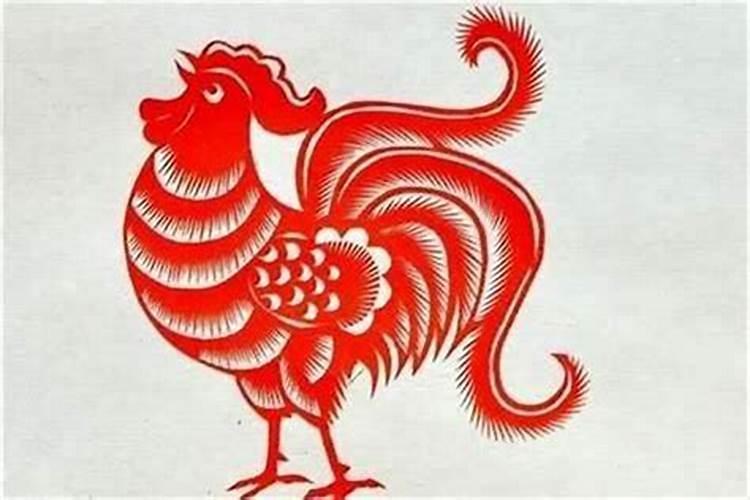 生肖鸡的本命年要注意什么？