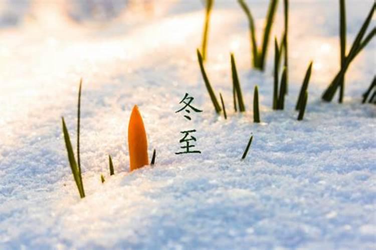 你知道中国与黄酒有关的节日,习俗有哪些吗