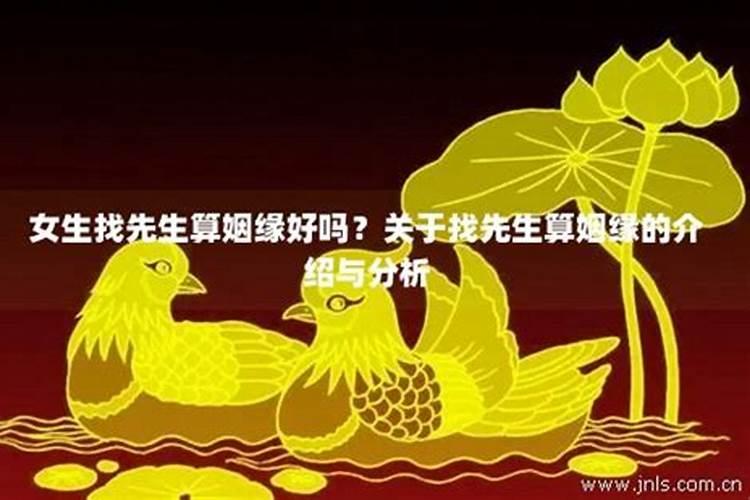 94年女狗2024年下半年运势如何