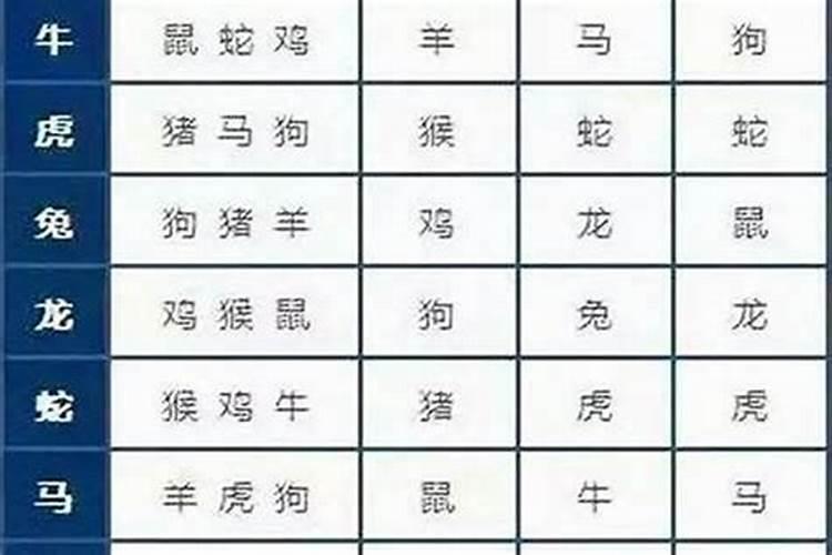 属鼠男人和属狗女人相配吗