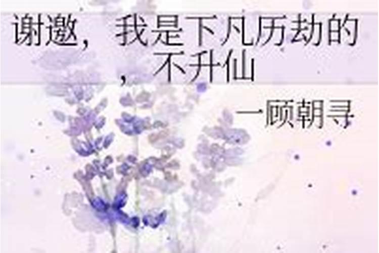 对的一次访问作文500字