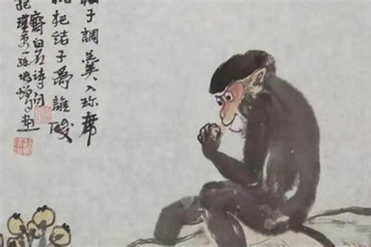 属猴2025年犯太岁吗