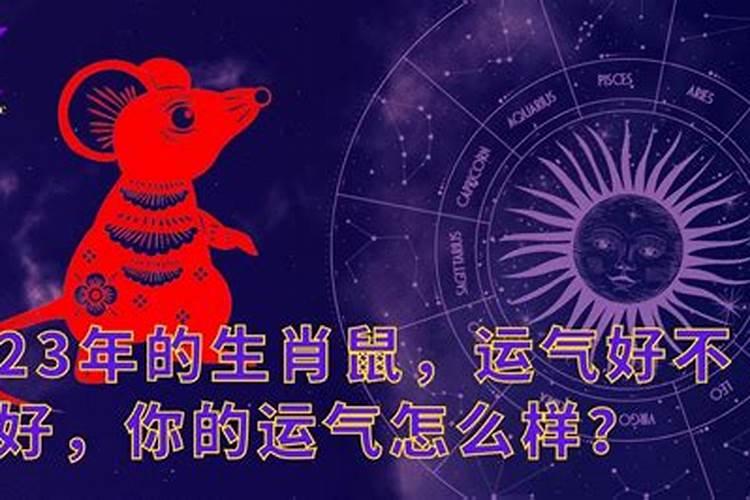 187年属兔男2025年运势