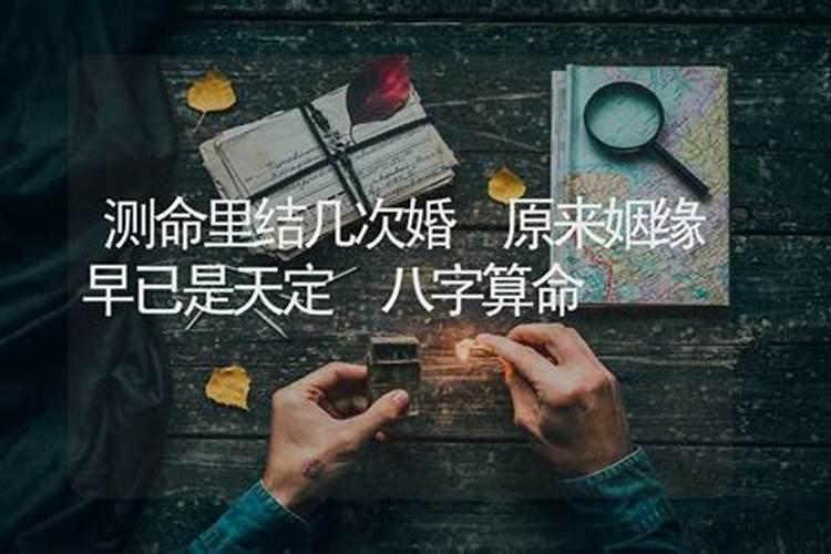 书桌摆放什么植物最旺学业