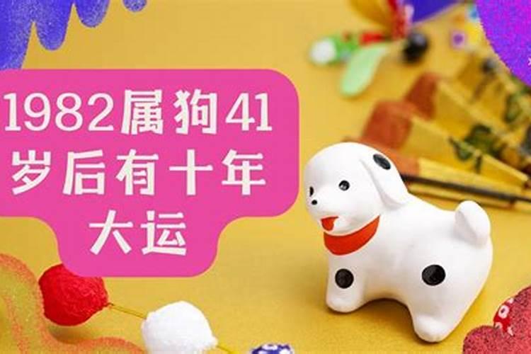 82年的狗2025年运势