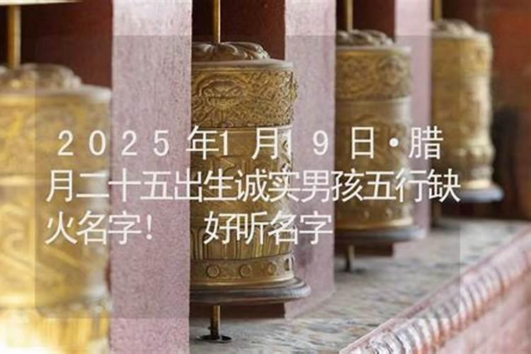 70年的狗2025年运势
