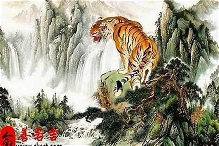 2025年属虎全年运势
