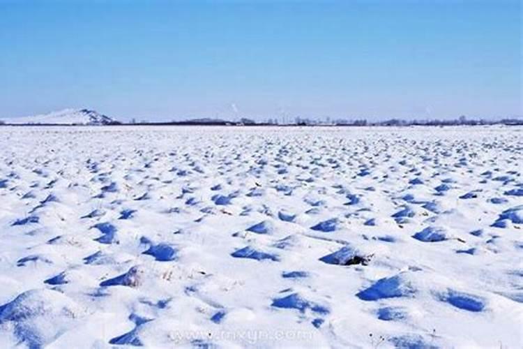 梦见满地都是雪的预兆
