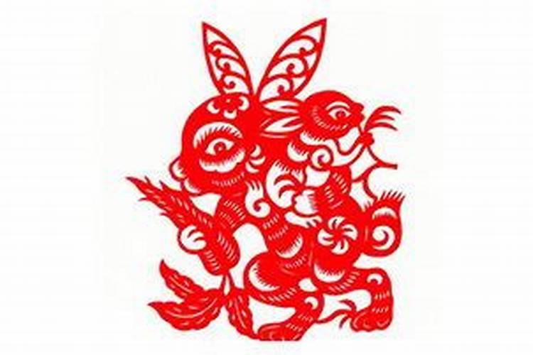 07年出生的属猪的男命2022虎年运气完整版？