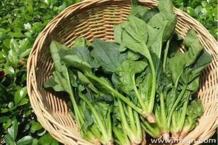 74年属虎人今年运程顺利吗何时走大运