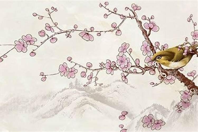 74年属虎51岁2025全年运程