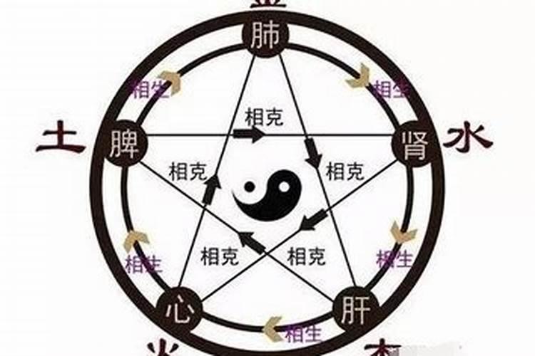2025年属狗人的全年每月运势