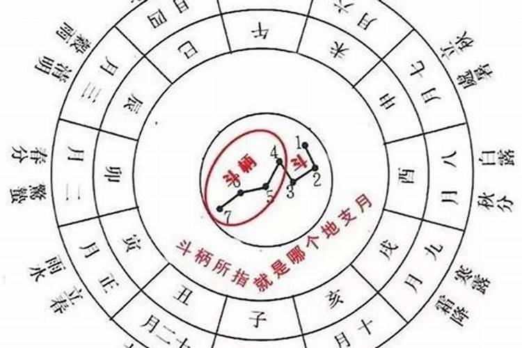 1947年属猪人的寿命 运程如何
