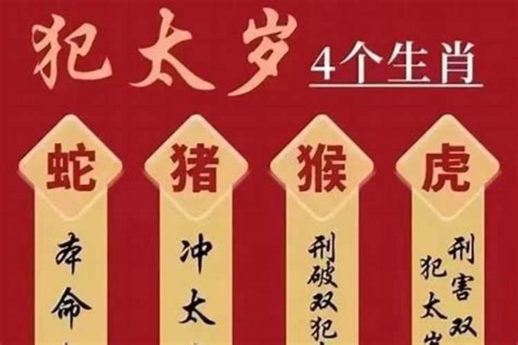 生肖鼠适合2020本命年生小孩吗？