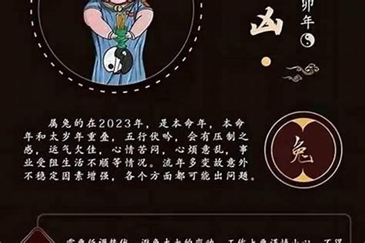 在鼠年犯太岁、冲太岁、刑太岁和害太岁要注意些什么？