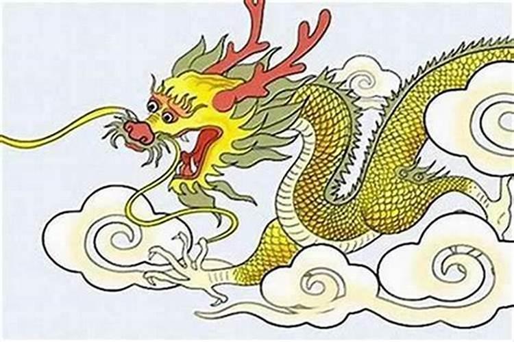 女属龙"土龙"男属蛇"土蛇"