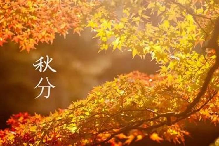 秋分是几月几日,秋分是哪一天