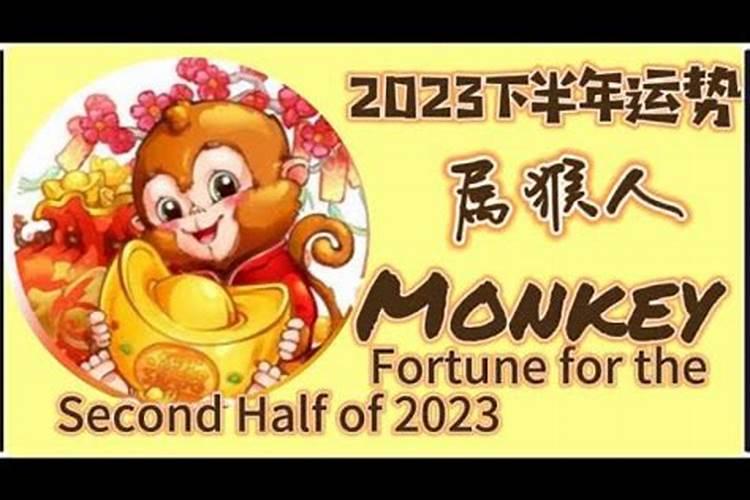 2025属羊的是什么命 2025年属羊人的命运