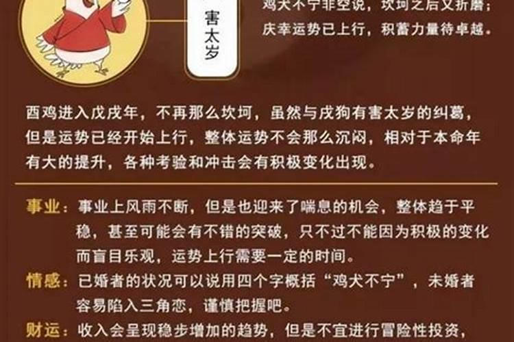 怎么分每年的年犯太岁、冲太岁、刑太岁和害太岁生肖啊？？