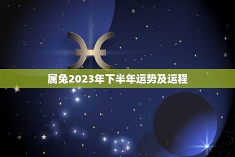 1999年属兔男2025年的运势及运程如何
