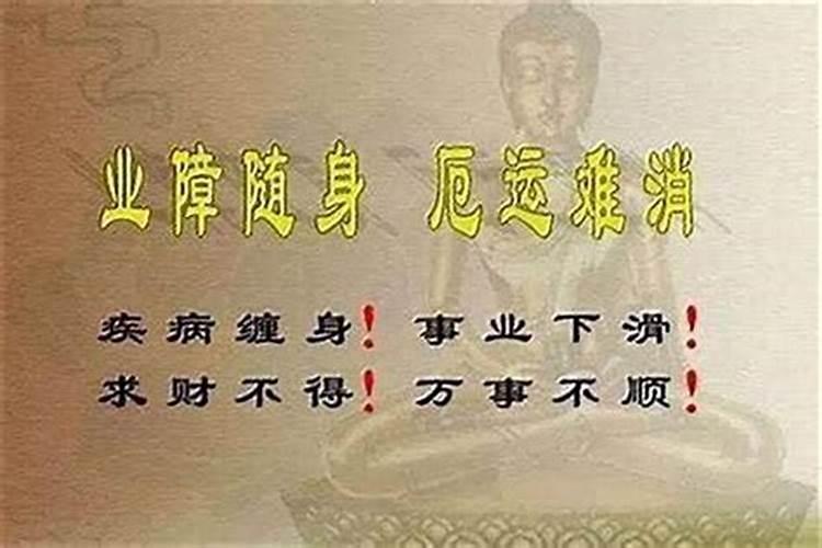 2025最旺的生肖 属兔的人 运势