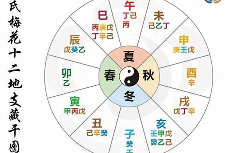 ...11,11,晚八点'有人说我全阳'你说我6阳2阴,怎么...