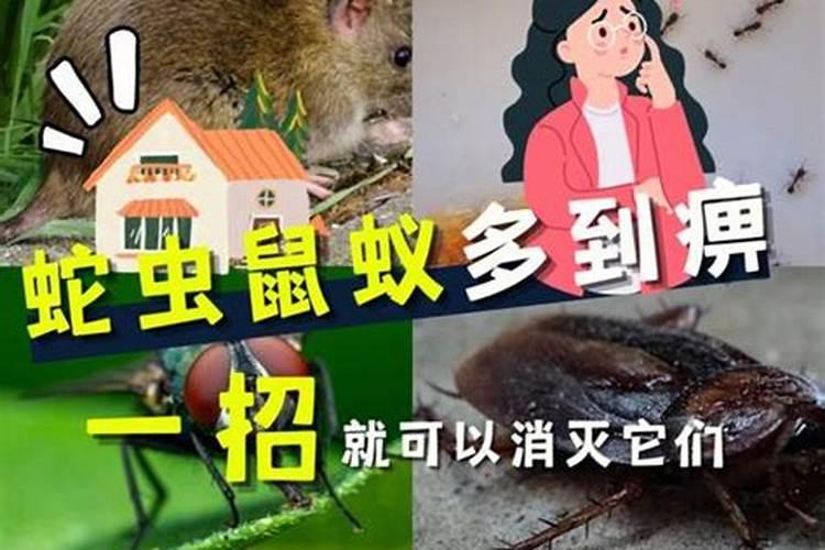 梦见别人生小孩是什么征兆