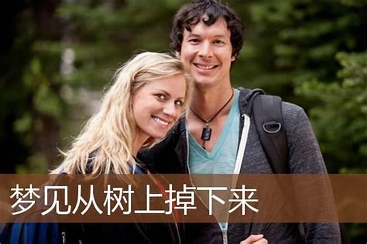 梦见亲人从大树掉下来