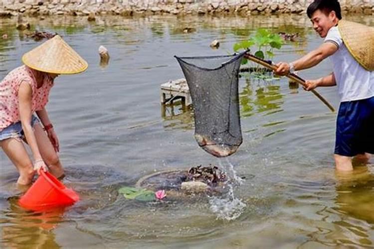 意外死亡的孩子会回来投胎吗？