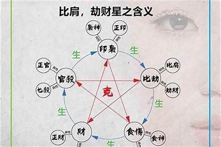 2001年属蛇男的最佳配偶