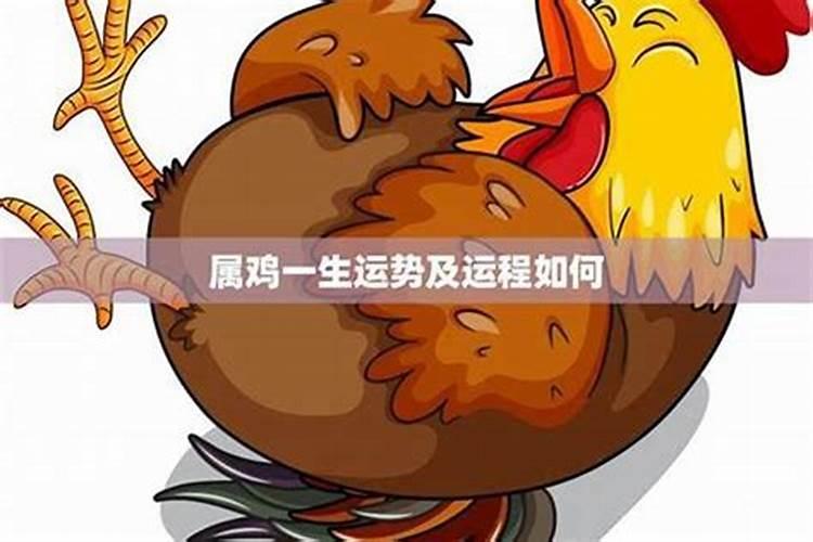 属鸡人2025年走大运