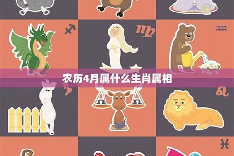 二0一九年运势,属龙的在二O一九年运势