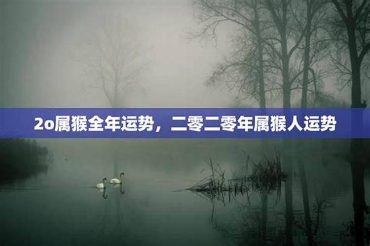 您好96年过小年的前一天出生 可以帮我看看日期是哪一天