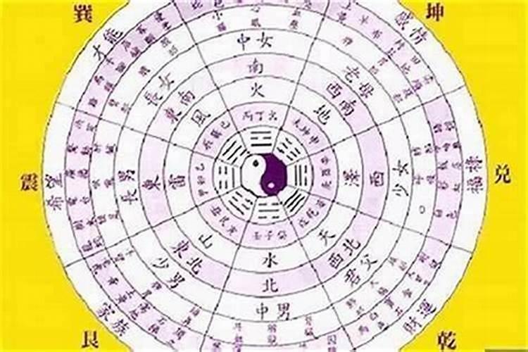 请问八字是看五行属性还是生肖属性？