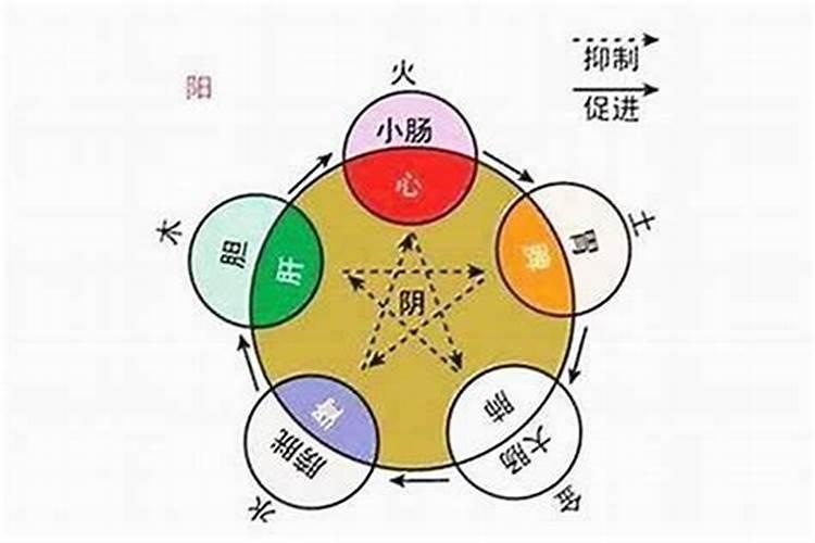 八字如何算五行