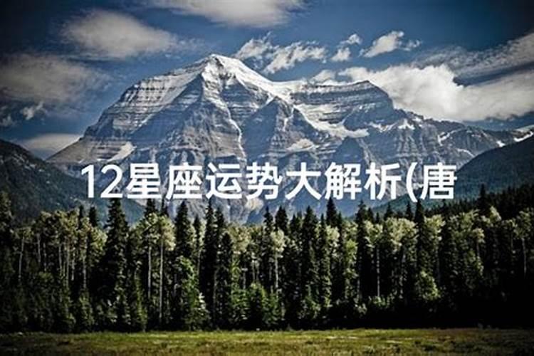 唐立淇2024年12星座运势解析