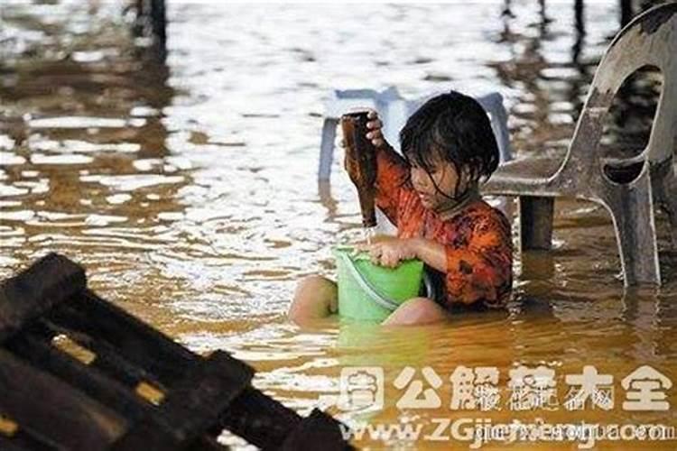 2025属狗人的运气和财运如何