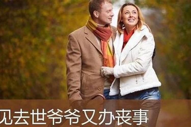 2025年属狗人的全年运势如何