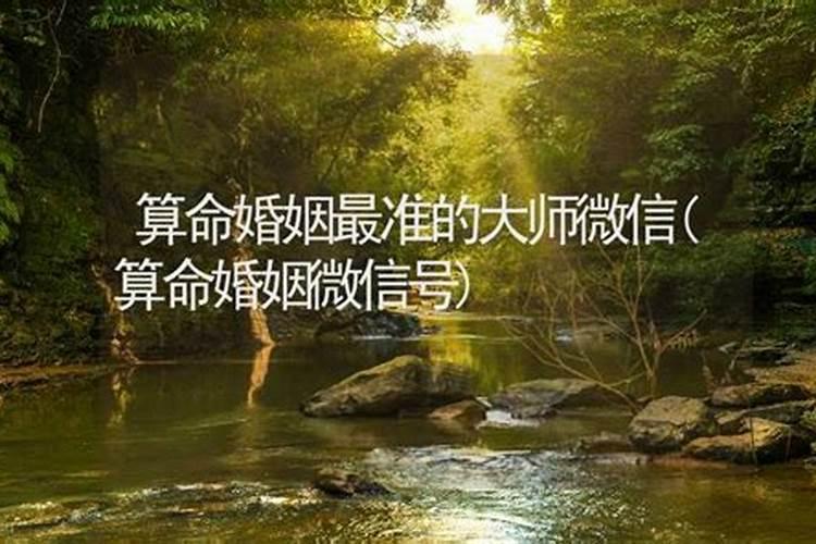 梦到前妻回家预示什么