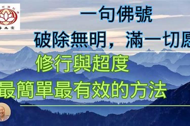 24岁是什么生肖婚配,24岁属鼠生肖婚配
