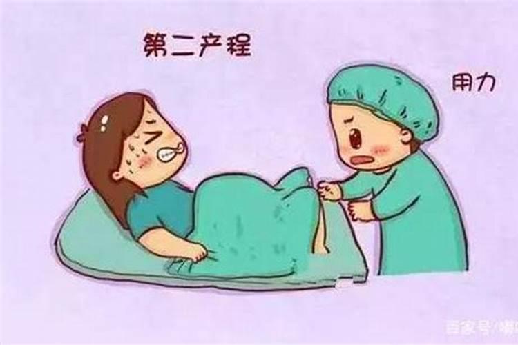 济南最大的水果批发市场
