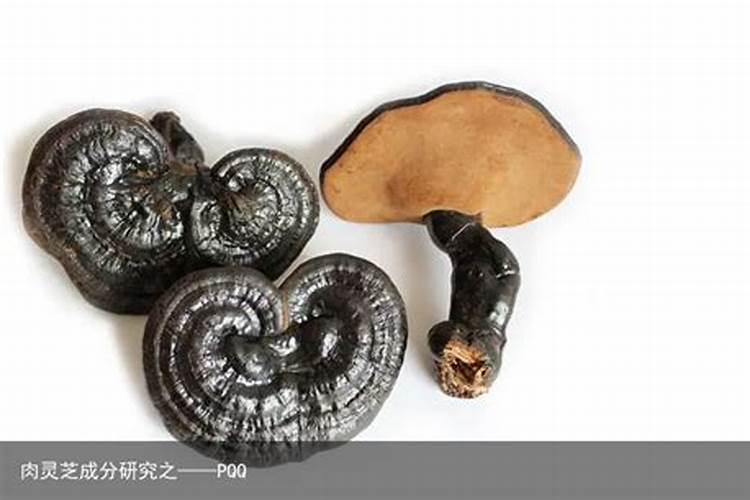 腊月二十三至三十风俗是什么？
