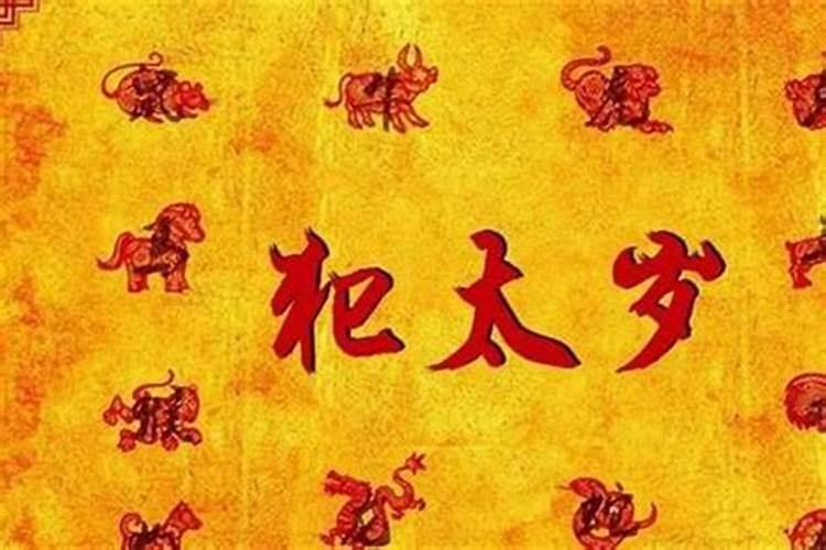 鸡和狗配婚姻好不好