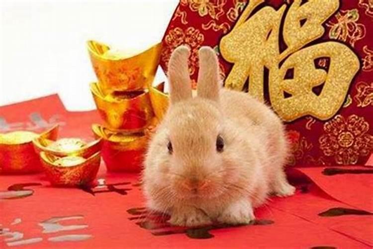 属牛的几月出生最好生肖牛年忌几月出生
