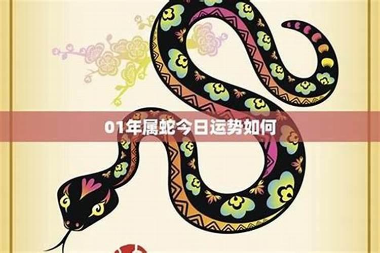 2010年属蛇犯太岁怎么办啊!救命阿